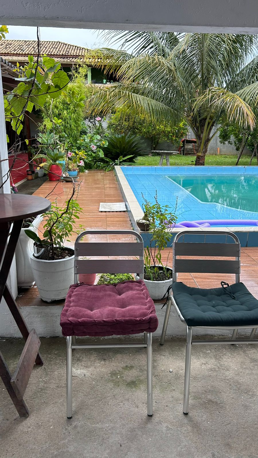 Piscina da Casa Aurora com jardim e palmeiras